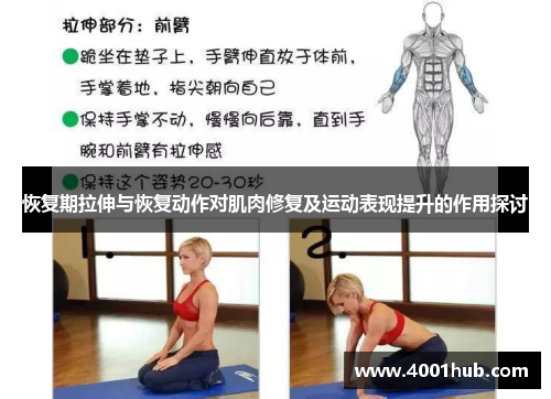 恢复期拉伸与恢复动作对肌肉修复及运动表现提升的作用探讨